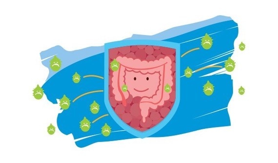 Apie prebiotikus: kas tai, jų nauda ir šaltiniai